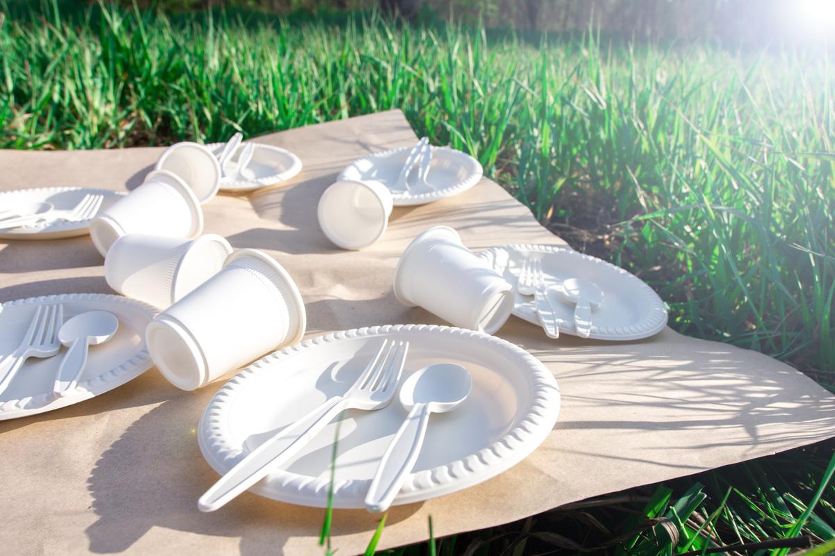 How to Properly Dispose of Different Types of Disposable Plates – SCIONE